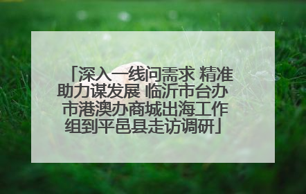 深入一线问需求 精准助力谋发展 临沂市台办 市港澳办商城出海工作组到平邑县走访调研