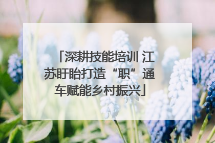 深耕技能培训 江苏盱眙打造“职”通车赋能乡村振兴