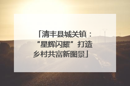 清丰县城关镇：“星辉闪耀”打造乡村共富新图景