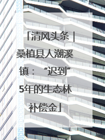 清风头条｜桑植县人潮溪镇：“迟到”5年的生态林补偿金