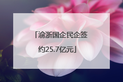 渝浙国企民企签约25.7亿元