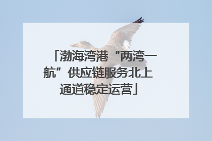 渤海湾港“两湾一航”供应链服务北上通道稳定运营