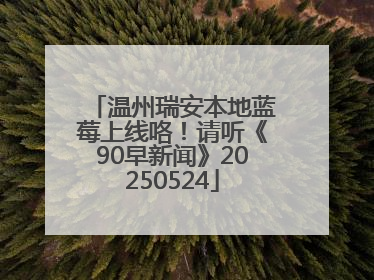 温州瑞安本地蓝莓上线咯！请听《90早新闻》20250524