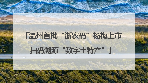 温州首批“浙农码”杨梅上市 扫码溯源“数字土特产”
