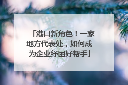 港口新角色！一家地方代表处，如何成为企业纾困好帮手
