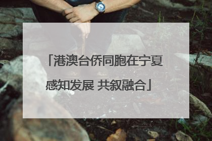 港澳台侨同胞在宁夏感知发展 共叙融合