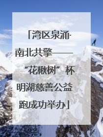 湾区泉涌·南北共擎——“花楸树”杯明湖慈善公益跑成功举办