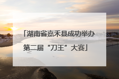 湖南省嘉禾县成功举办第二届“刀王”大赛