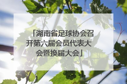 湖南省足球协会召开第六届会员代表大会暨换届大会