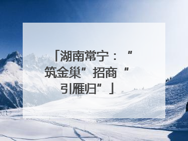 湖南常宁：“筑金巢”招商“引雁归”