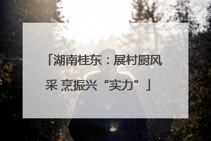 湖南桂东：展村厨风采 烹振兴“实力”