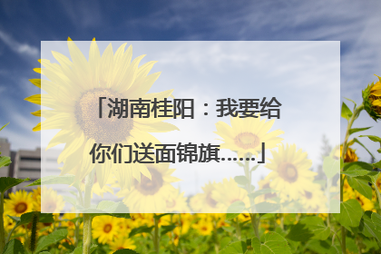 湖南桂阳：我要给你们送面锦旗……