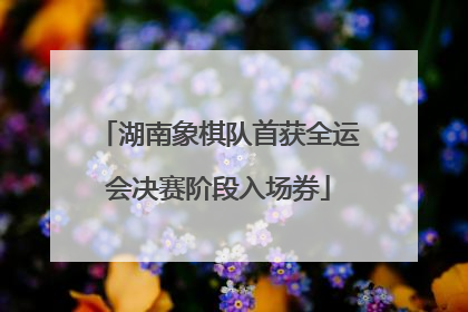湖南象棋队首获全运会决赛阶段入场券