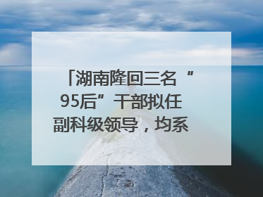 湖南隆回三名“95后”干部拟任副科级领导，均系硕士选调生