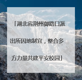 湖北省荆州御路口派出所因地制宜，整合多方力量共建平安校园