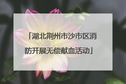 湖北荆州市沙市区消防开展无偿献血活动