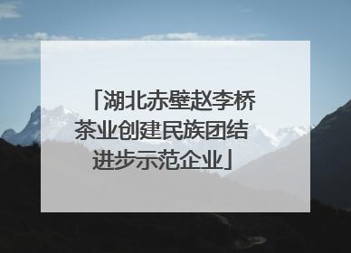 湖北赤壁赵李桥茶业创建民族团结进步示范企业