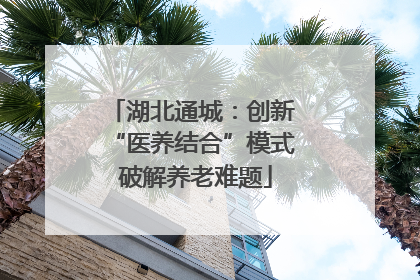 湖北通城：创新 “医养结合”模式 破解养老难题