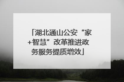湖北通山公安“家+智慧”改革推进政务服务提质增效