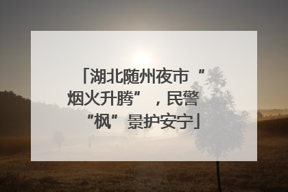 湖北随州夜市“烟火升腾”，民警“枫”景护安宁