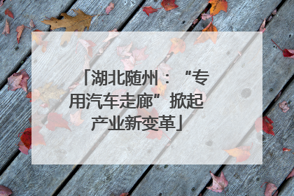 湖北随州：“专用汽车走廊”掀起产业新变革