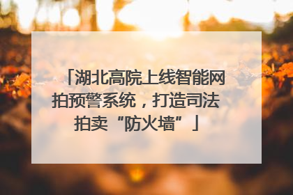 湖北高院上线智能网拍预警系统，打造司法拍卖“防火墙”