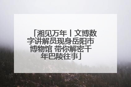 湘见万年丨文博数字讲解员现身岳阳市博物馆 带你解密千年巴陵往事