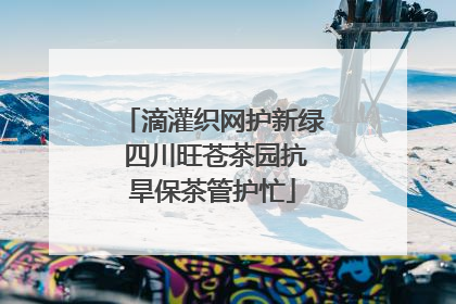 滴灌织网护新绿 四川旺苍茶园抗旱保茶管护忙