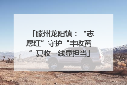 滕州龙阳镇：“志愿红”守护“丰收黄”夏收一线显担当