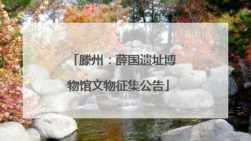 滕州：薛国遗址博物馆文物征集公告