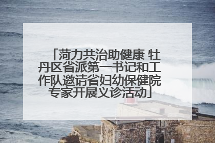 菏力共治助健康 牡丹区省派第一书记和工作队邀请省妇幼保健院专家开展义诊活动