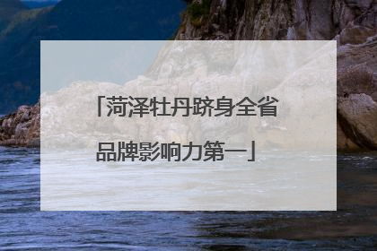 菏泽牡丹跻身全省品牌影响力第一