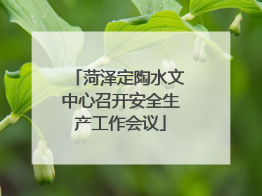 菏泽定陶水文中心召开安全生产工作会议