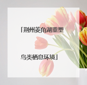 荆州菱角湖重塑鸟类栖息环境