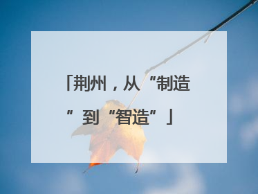 荆州，从“制造”到“智造”