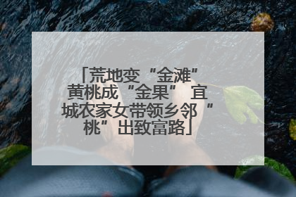 荒地变“金滩” 黄桃成“金果” 宜城农家女带领乡邻“桃”出致富路