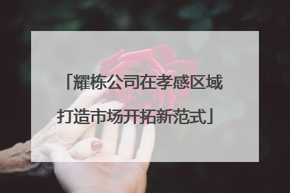 耀栋公司在孝感区域打造市场开拓新范式