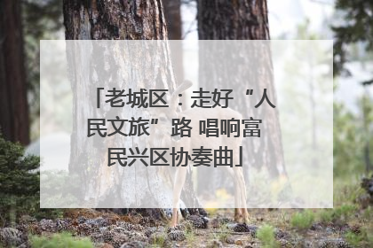 老城区：走好“人民文旅”路 唱响富民兴区协奏曲