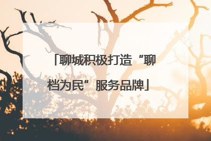 聊城积极打造“聊档为民”服务品牌