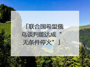 联合国希望俄乌谈判能达成“无条件停火”