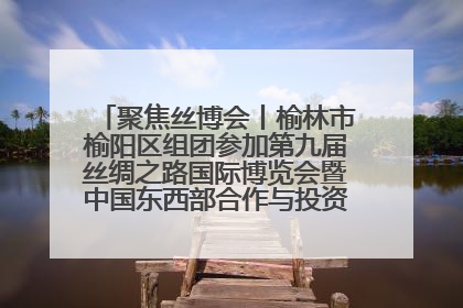 聚焦丝博会丨榆林市榆阳区组团参加第九届丝绸之路国际博览会暨中国东西部合作与投资贸易洽谈会