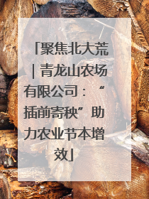 聚焦北大荒｜青龙山农场有限公司：“插前寄秧”助力农业节本增效