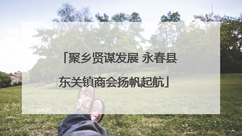 聚乡贤谋发展 永春县东关镇商会扬帆起航