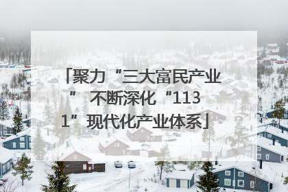 聚力“三大富民产业” 不断深化“1131”现代化产业体系