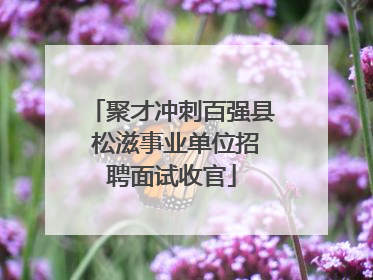 聚才冲刺百强县 松滋事业单位招聘面试收官