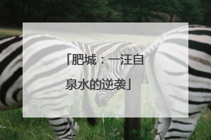 肥城：一汪自泉水的逆袭