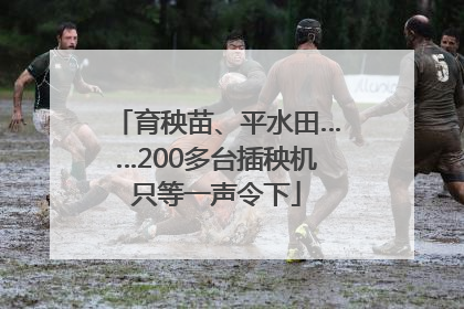 育秧苗、平水田……200多台插秧机只等一声令下