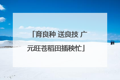 育良种 送良技 广元旺苍稻田插秧忙