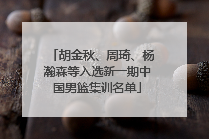 胡金秋、周琦、杨瀚森等入选新一期中国男篮集训名单
