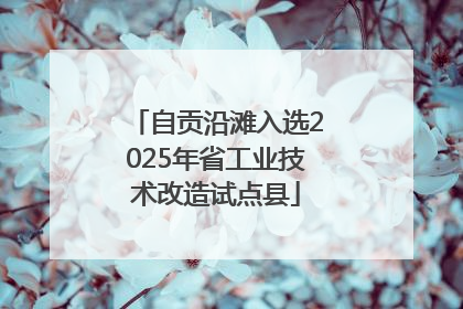 自贡沿滩入选2025年省工业技术改造试点县